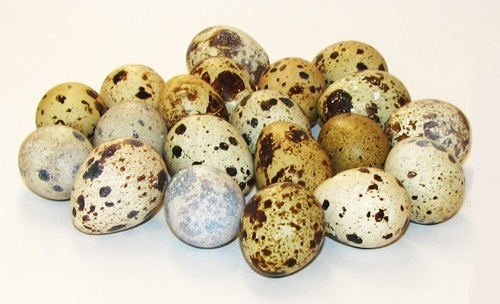 Перепелиные яйца, основа хуйхуня